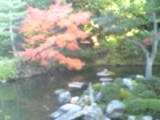 地恩院内庭園の見事な紅葉①：2007-11-23【勤労感謝の日に】