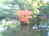 地恩院内庭園の見事な紅葉②：2007-11-23【勤労感謝の日に】
