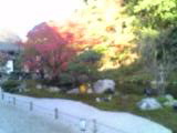 地恩院内庭園の見事な紅葉③：2007-11-23【勤労感謝の日に】